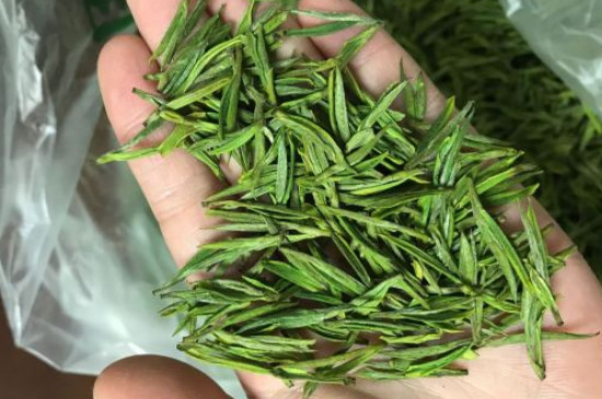 什么綠茶茶葉唇齒留香，哪個品種綠茶香氣好？