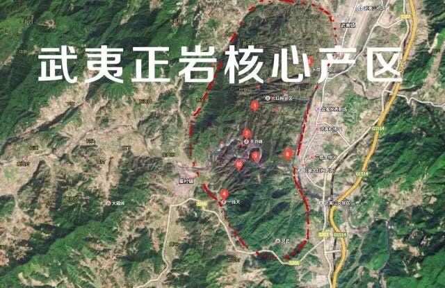 武夷山為什么盛產(chǎn)茶葉，武夷山茶為什么好喝？