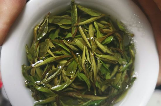 什么人不能喝白茶，白茶不宜什么人喝？