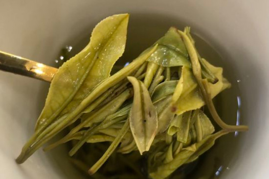 新舊白茶怎么區(qū)分，怎么分辨白茶是新還是舊