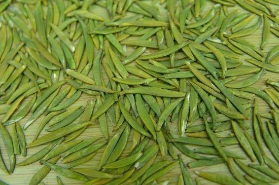 竹葉青和毛尖的區(qū)別，毛尖和竹葉青怎么分辨？