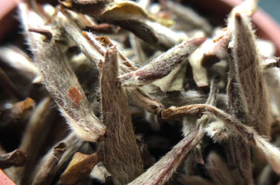 白毫銀針年份越久越好嗎，銀針白毫是否越陳越好