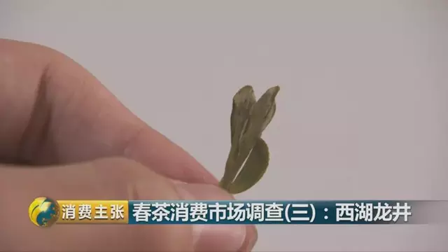 龍井群體種和43號的區(qū)別圖片，龍井43和群體種哪個(gè)好喝？