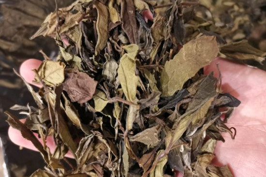 新舊白茶怎么區(qū)分，怎么分辨白茶是新還是舊