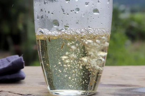 三年白茶賽砒霜，這是真的嗎？