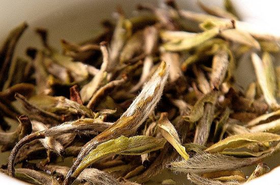 荒野銀針市場(chǎng)價(jià)多少，真正的荒野白毫銀針多少錢(qián)？