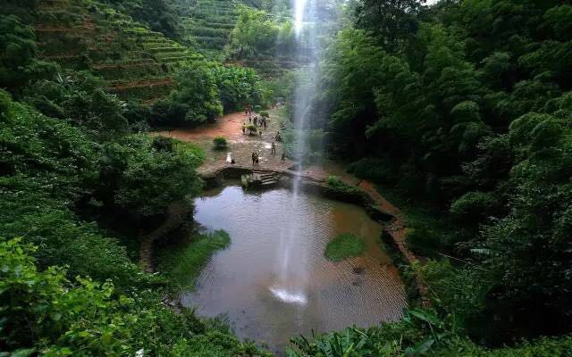 武夷山為什么盛產(chǎn)茶葉，武夷山茶為什么好喝？