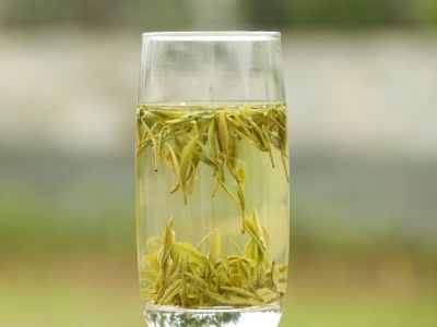 霍山黃芽算是好茶嗎，霍山黃芽屬于什么茶？