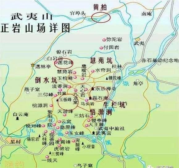 300塊錢的金駿眉能喝嗎，兩三百多金駿眉和一千多區(qū)別