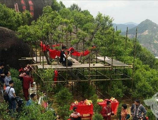 宋種一號(hào)價(jià)值為什么高，鳳凰單樅宋種1號(hào)價(jià)格與產(chǎn)量多少？