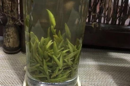 金壇雀舌什么檔次，金壇雀舌算不算好茶？