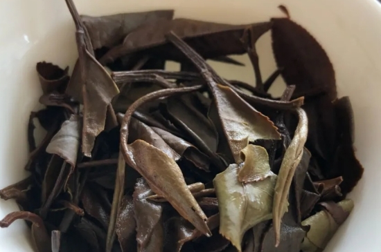 老白茶上火還是去火？夏季喝煮的老白茶會容易上火！