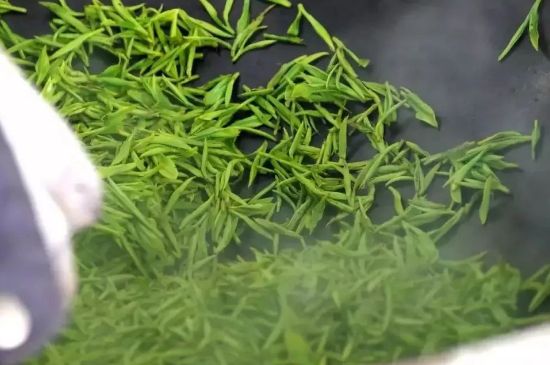 碧螺春為什么泡水渾濁，碧螺春茶葉泡水感覺很臟是混濁的