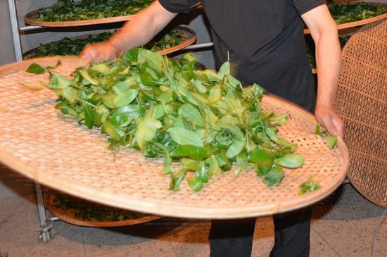 鐵觀音加香精騙局，鐵觀音的香味是添加香精了嗎？