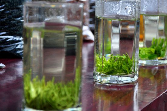 綠茶放了三年還能喝嗎，綠茶放久了喝了會怎樣