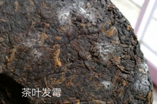 西湖龍井茶毫和發(fā)霉區(qū)別圖片，長霉的龍井茶葉會是什么樣？